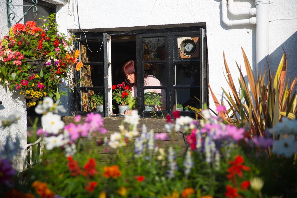 The Cott Inn Totnes Bagian luar foto